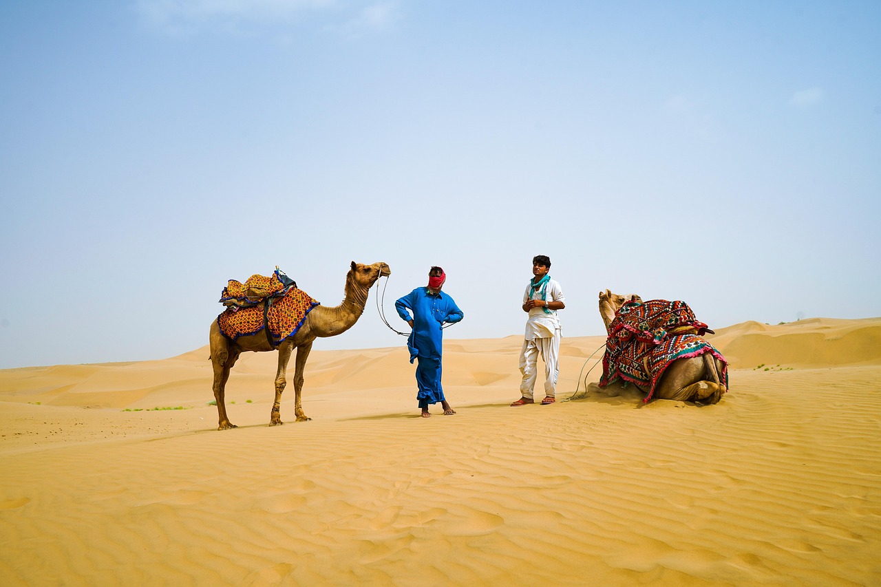 desert, camel, nature, travel, transport, sand, dunes, men, rajasthan, jaipur, india